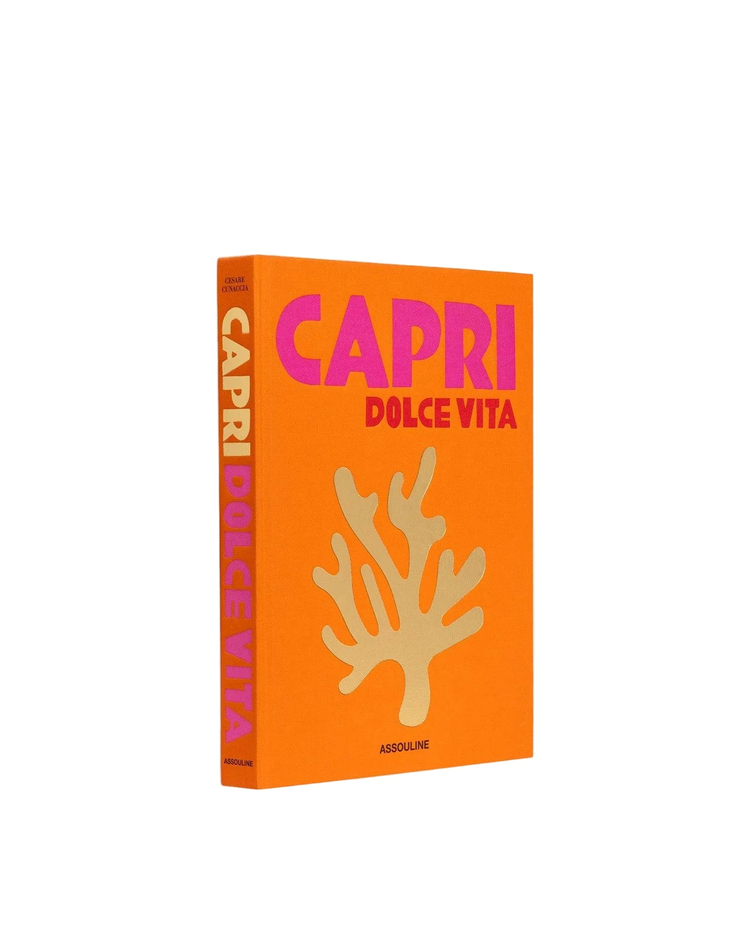 Travel Guide "Capri"