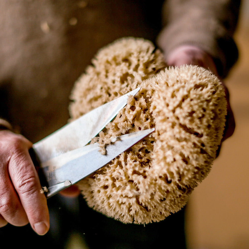 Natural sponge 12cm-21cm - Croll & Denecke