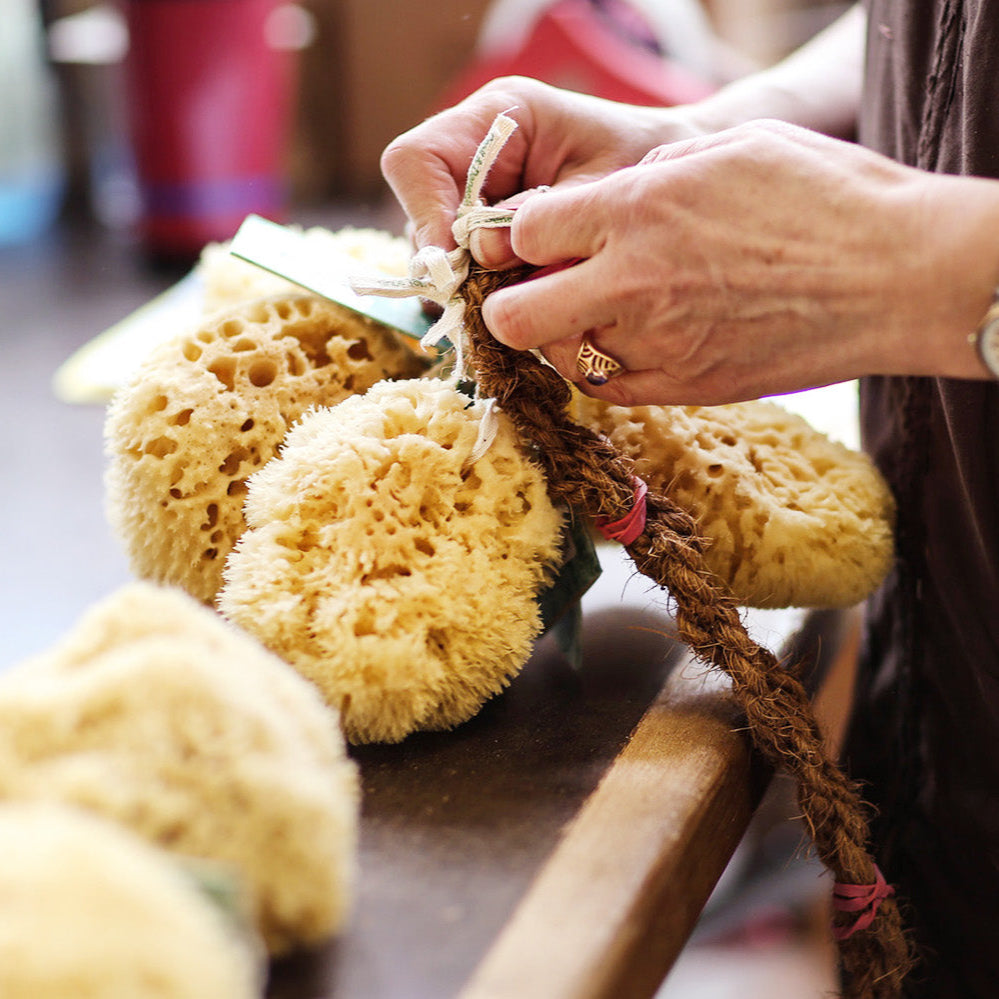 Natural sponge 12cm-21cm - Croll & Denecke