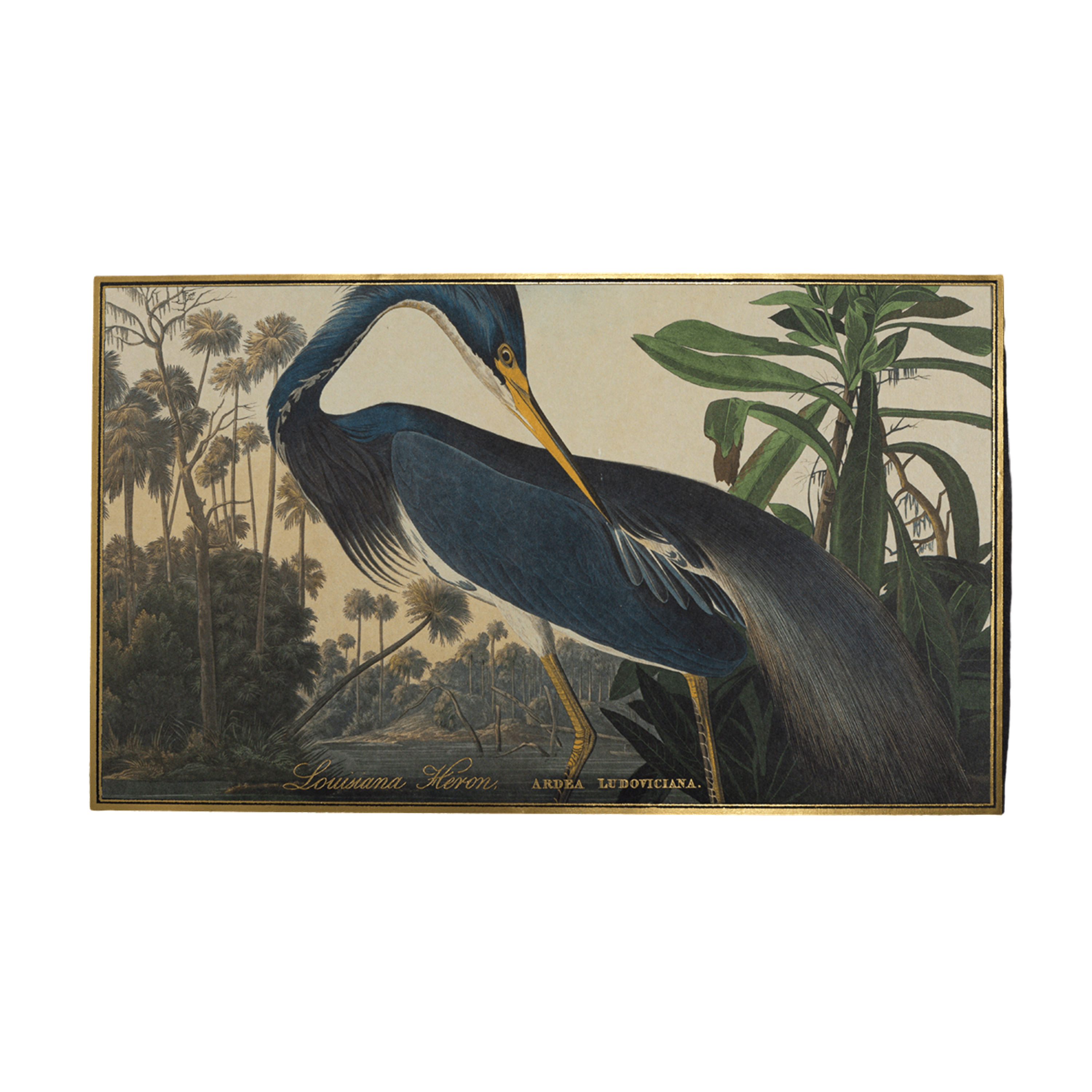 Louisiana Heron Giant Matches