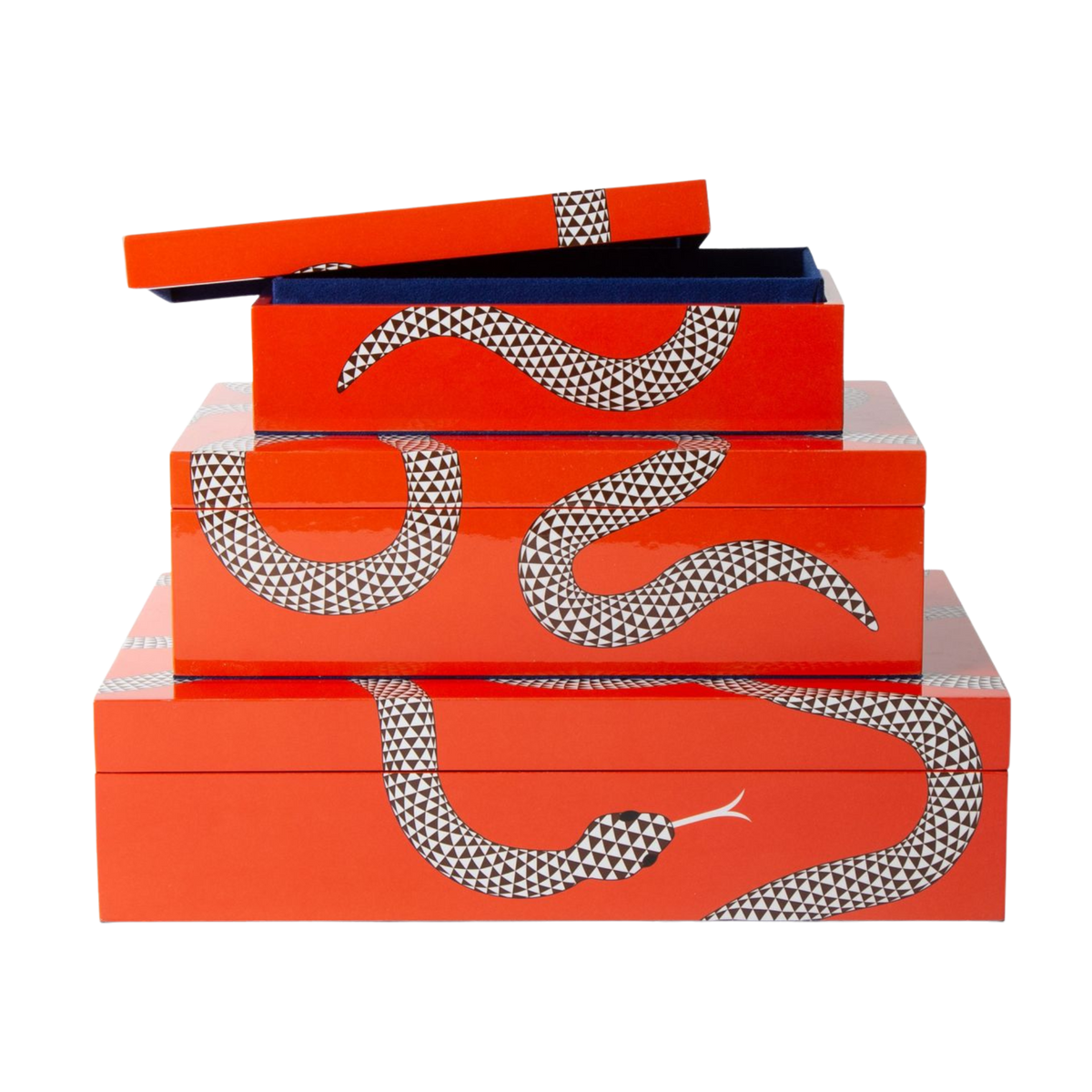 Box "Eden" von Jonathan Adler