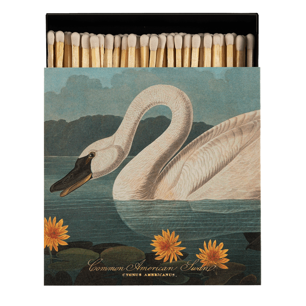 Common American Swan Matches