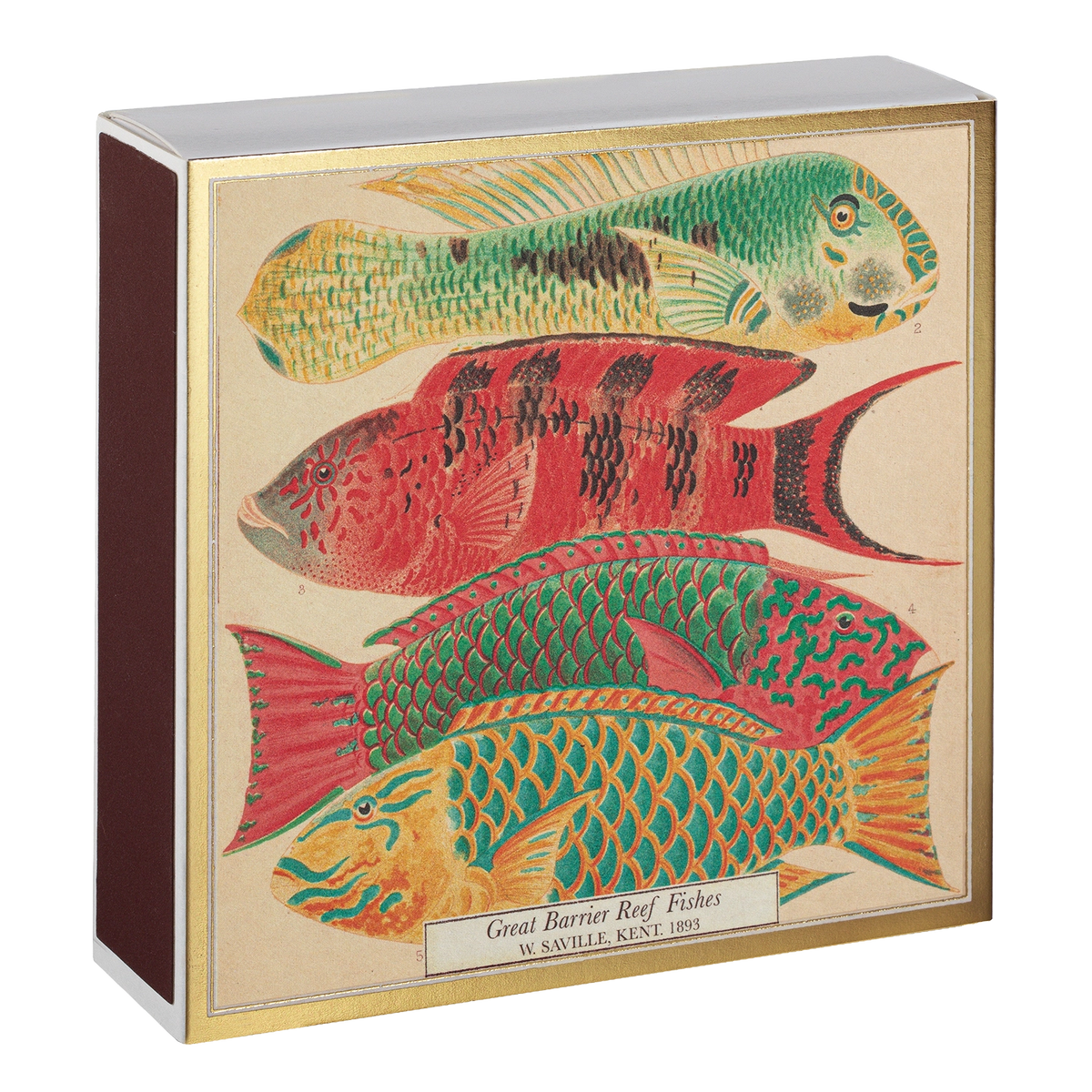 Fish Matches von Archivist