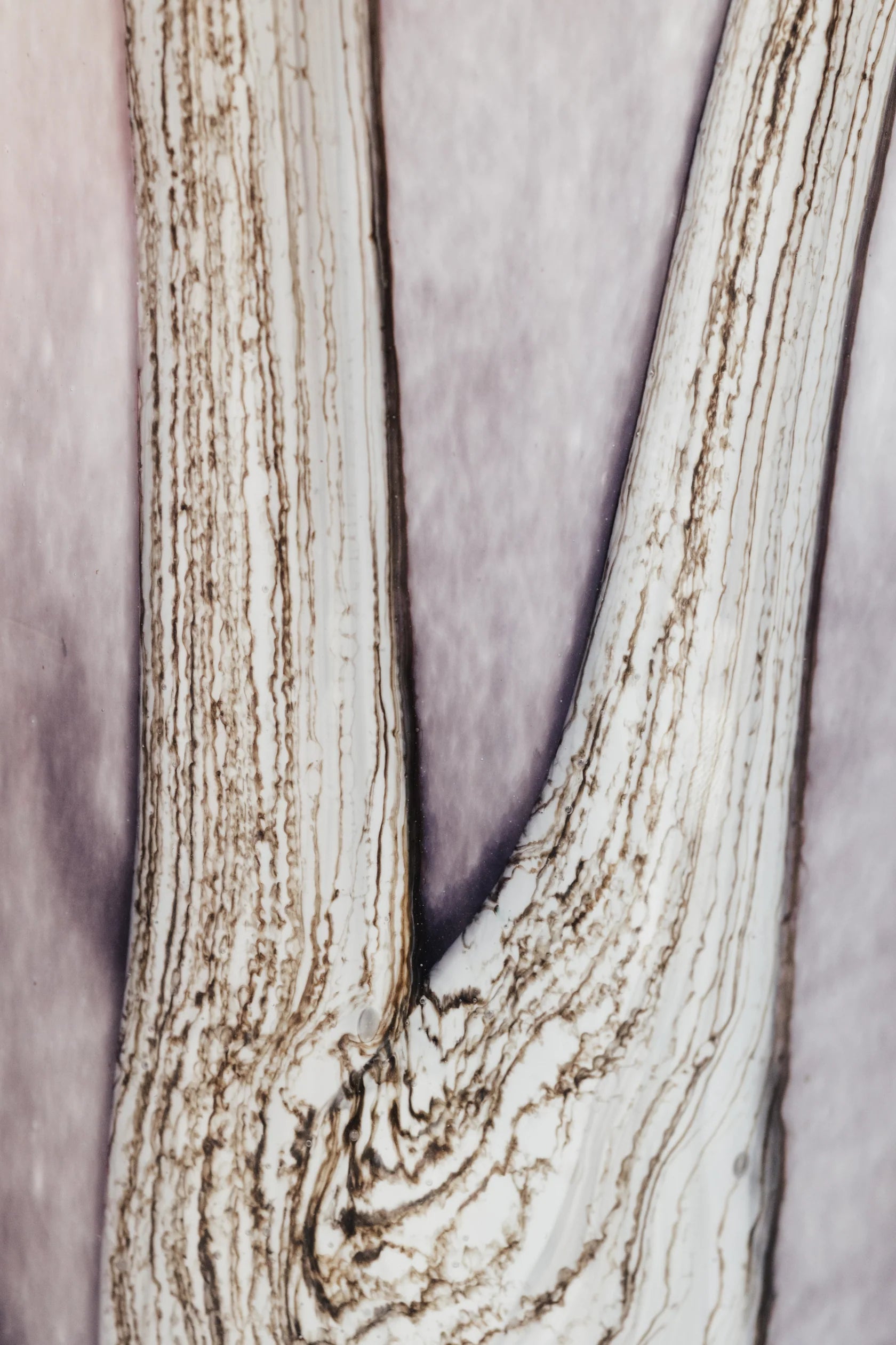 Duftkerze "Woods Broceliande"