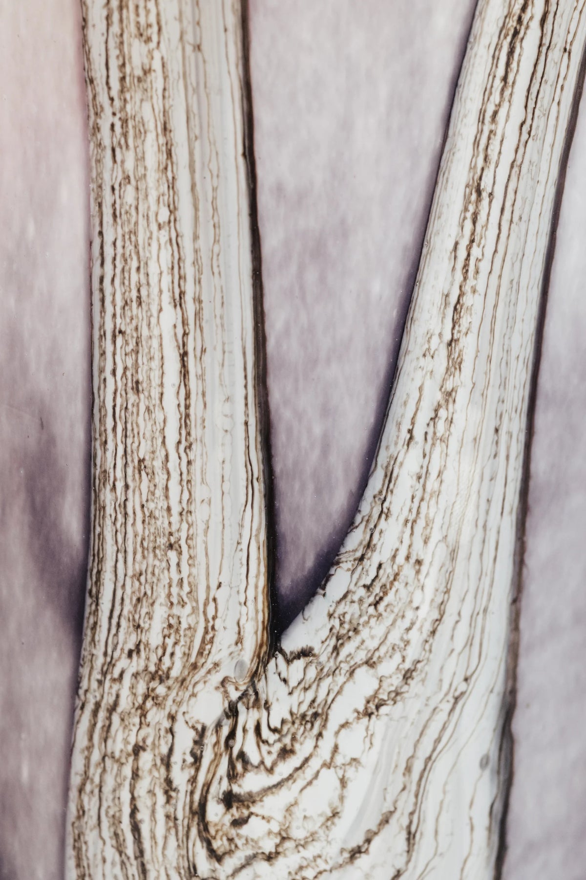 Duftkerze "Woods Broceliande" von Baobab