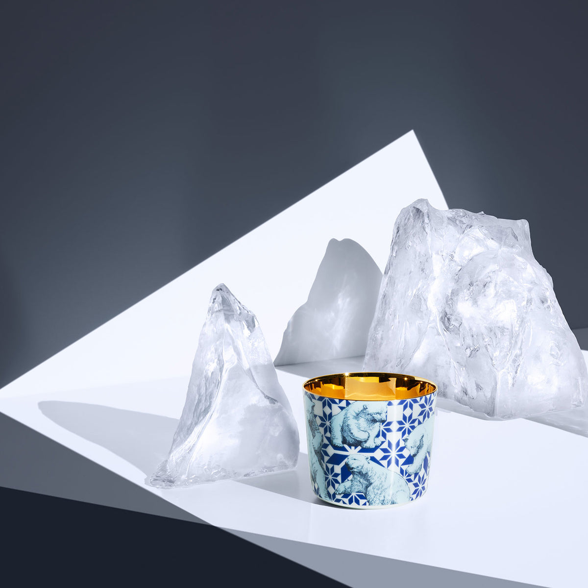 Champagnerbecher "Sip of Gold" The Polar Bears von Sieger by Fürstenberg
