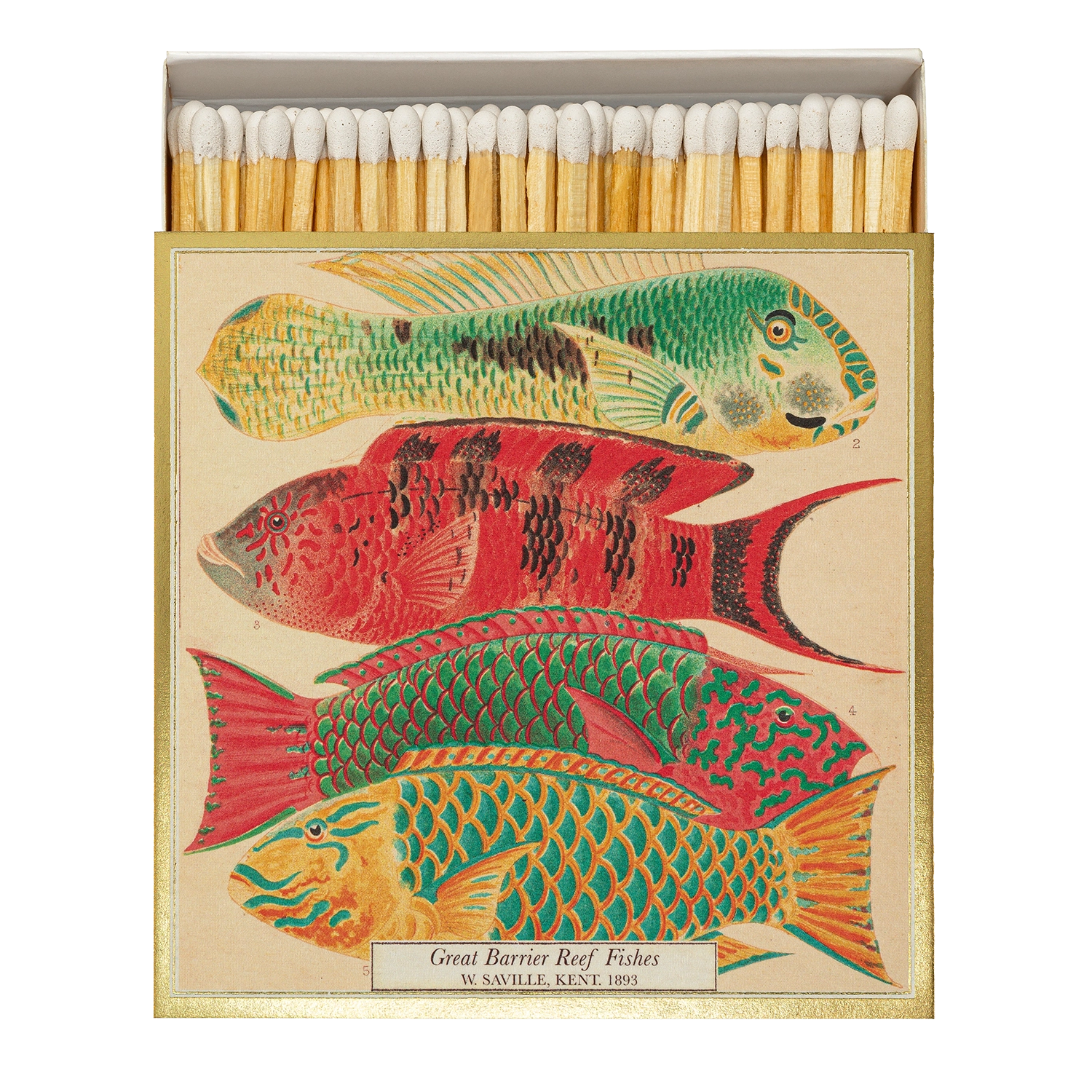 Fish Matches