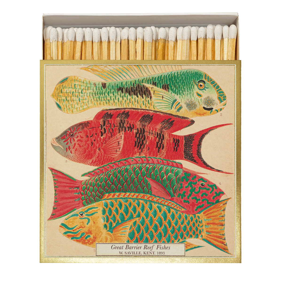 Fish Matches von Archivist