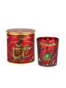 Duftkerze "Palo Santo Tiger" von Ortigia – Small