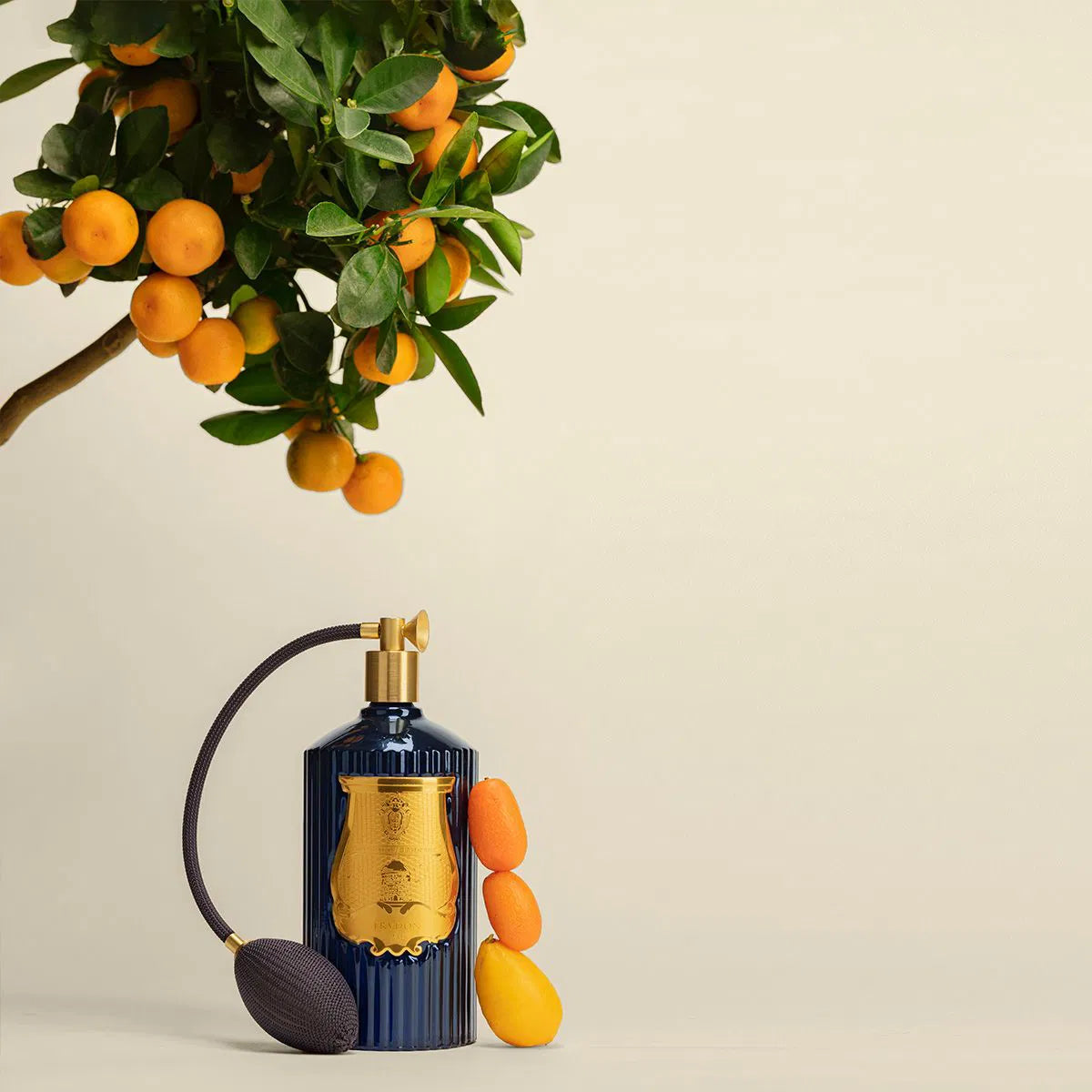 Trudon Raumspray "Reggio"