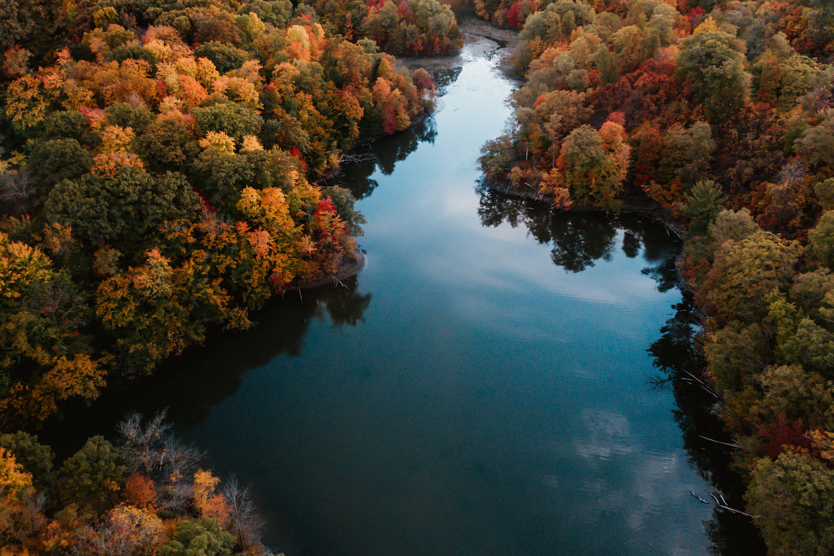 Herbstwald mit Fluss aus der Vogelperspektive